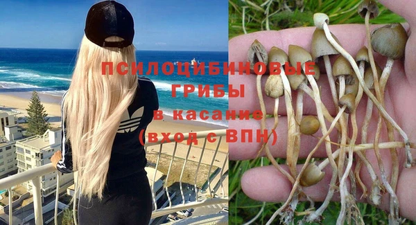 дмт Новокубанск