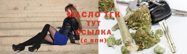 индика Заволжск