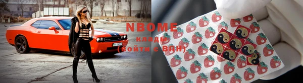 дмт Новокубанск