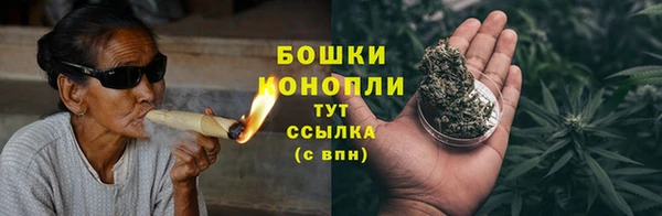 гидра Новозыбков