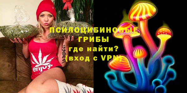 гидра Новозыбков