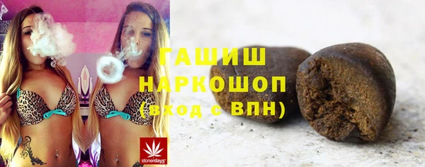гидра Новозыбков