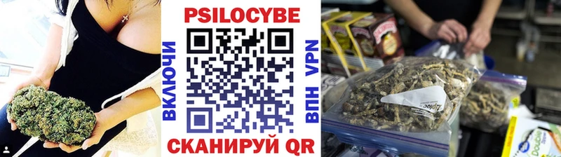 Псилоцибиновые грибы Cubensis Череповец
