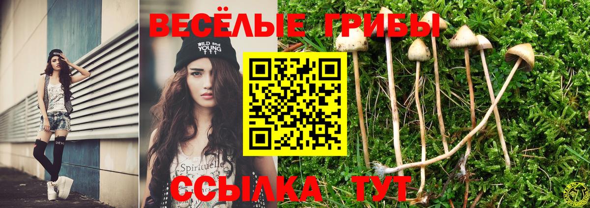 Галлюциногенные грибы ЛСД  Вход с VPN  Череповец 