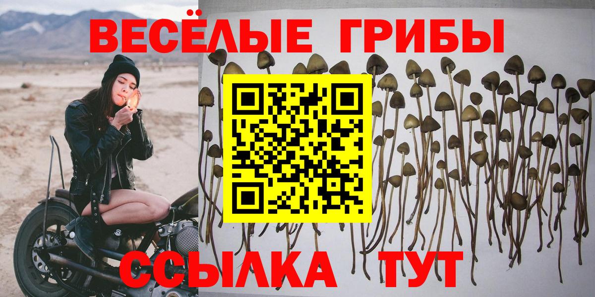 Галлюциногенные грибы GOLDEN TEACHER Череповец